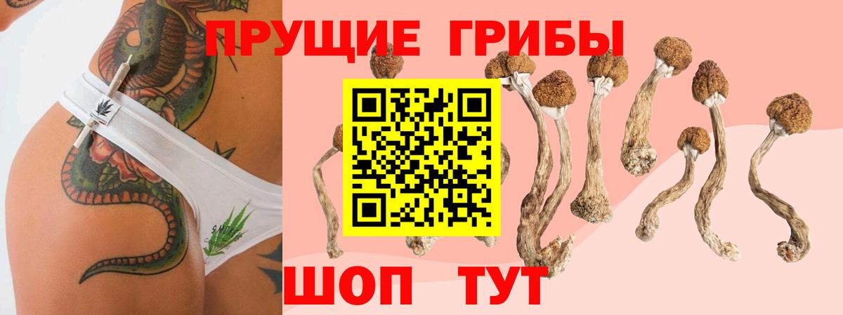 Псилоцибиновые грибы мухоморы  Вход с VPN  Псилоцибиновые грибы MAGIC MUSHROOMS  Бузулук 