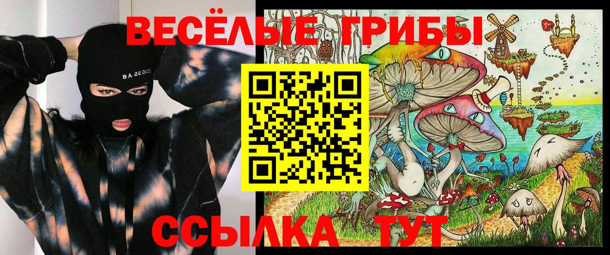 Галлюциногенные грибы MAGIC MUSHROOMS Бузулук